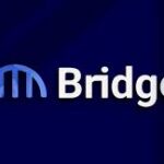 bridge s